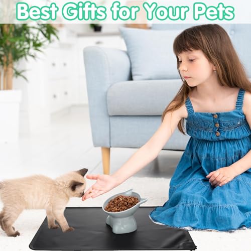 3 Pcs Elevated Cat Bowls 15° Raised Cat Food Bowl with Silicone Pet Food Mat Anti Vomiting Cats Dishes Pet Food and Water Bowls for Indoor Cats and Small Dogs(3 Colors) - color: Classic
