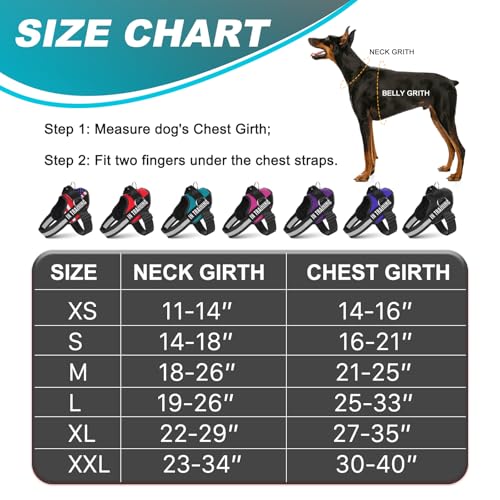 JUSTYEZI Essential Dog Harness with 3 Leash Clips - No-Pull, Adjustable, Comfortable Pet Vest Harness for Small to Large Dogs - Easy On, No Choke, Reflective, Padded Harness for Walking and Training