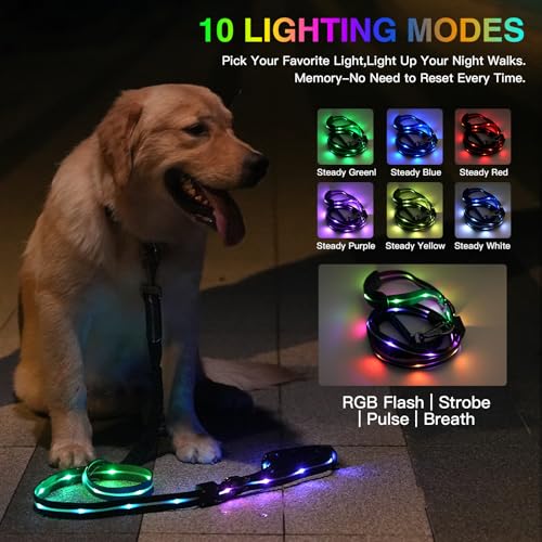 hamraba 5 Ft Light Up Dog Leash, 10 Lighting Modes LED Dog Leash for Night Walking, Rechargeable with Padded Handle, Safety Glow in The Dark, for Small Medium Large Dogs