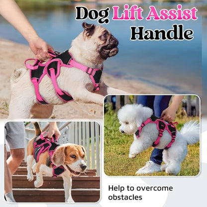 rabbitgoo Escape Proof Dog Harness Small Sized Dog, Soft Padded Full Body Pet Harness, Reflective Adjustable Vest with Lift Handle and Leash Clip for Walking Hiking Training, Pink & Black, S - color: Pink & Black, size: Small (Pack of 1)
