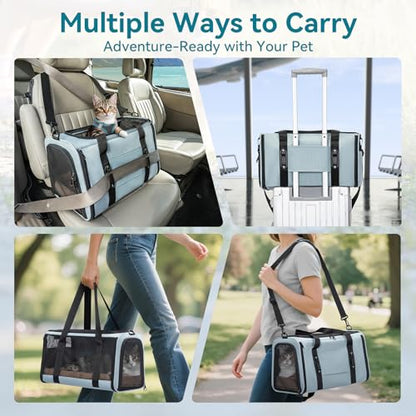 PETSFIT Soft-Sided Cat Carrier with Patented Safety Buckles, Lockable Zippers & Safety Tether,Escape-Resistant Travel Pet Carrier for Car Rides & Vet Visits, Airline Approved Under-Seat, Up to 12 lbs - color: Cyan blue, size: Medium