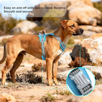 No Pull Dog Harness – Adjustable Reflective Nylon Vest for Small Medium Large Dogs, Escape Proof Training Harness with Leather Control Handle, Lightweight Aluminum Hardware (Cyan, M) - color: Cyan, size: M