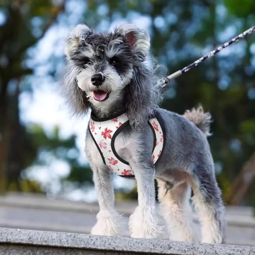 Maple Leaf Pet Harness Escape Proof Dog Harness Adjustable Mesh Padded Reflective Dog Vest Harness and Leash Set Medium - color: Style 5, size: Medium