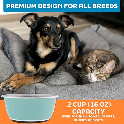 Master Pet Supply Stainless Steel Dog Bowls Set of 2 (16 Oz Each) with Non-Slip Rubber Base - Aqua Sky - Basic Dog Food Bowl Water & Food Bowls for Small Medium Large Dogs & Cats, Metal Dish - color: Aqua Sky, size: 2 Cups (16 Oz) 2 Pack