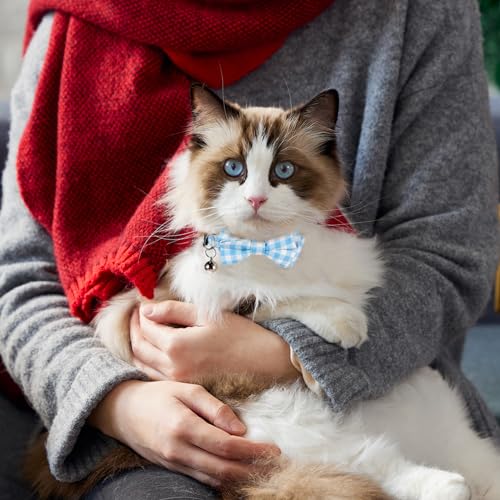 2 Pcs Boy Cat Collar with Bell Breakaway Cat Collars Cute Kitten Bow Tie Collar Adjustable Small Puppy Safety Collar Solid Color Plaid Pet Collar (Blue) - color: blue
