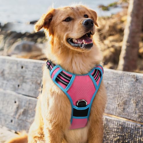 rabbitgoo Dog Harness for Large Dogs, No Pull Pet Vest with 3 Buckles, Adjustable Soft Padded Pet Harness with Easy Control Handle and Reflective Strips, Rose Pink & Blue, XL - color: Rose Pink & Blue, size: X-Large