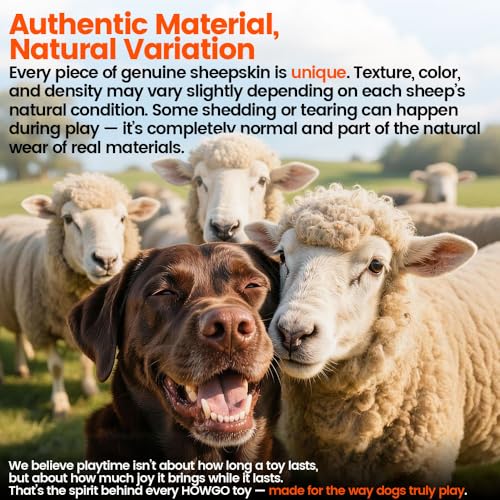 Dog Rope,Dog Bungee Chaser 100% Sheepskin,Sheep Smell Tug for All Breeds(Purple, Long Without Ball 2Pack) - color: Purple, size: Long Without Ball 2Pack