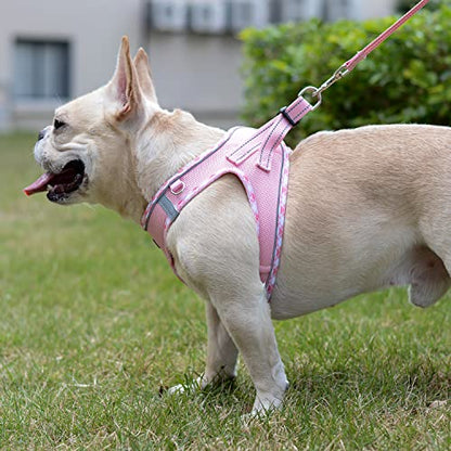 Mercano Soft Mesh Dog Harness and Leash Set, Step-in Reflective Breathable Lightweight Vest Harnesses with Safety Buckle for Small Dogs, Cats (Pink, XXS) - color: Pink, size: XXS (Chest: 9.5"-11.2")