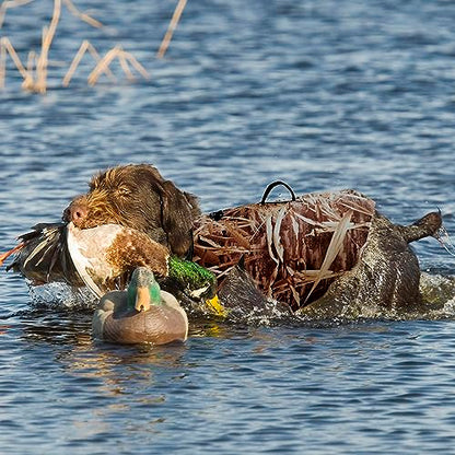 AUSCAMOTEK Neoprene Dog Vest for Duck Hunting - Insulated Camouflage Vest for Waterfowl Retriever - size: XXL