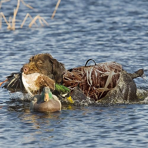AUSCAMOTEK Neoprene Dog Vest for Duck Hunting - Insulated Camouflage Vest for Waterfowl Retriever - size: XL