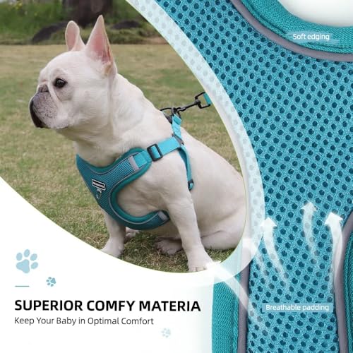 Dog Harness and Leash Set, Adjustable Triangle, Reflective Adjustable Puppy Vest, No Pull Soft Mesh Harness for Small, Medium Dogs, Cats (Turquoise, XL) - color: Turquoise, size: XL