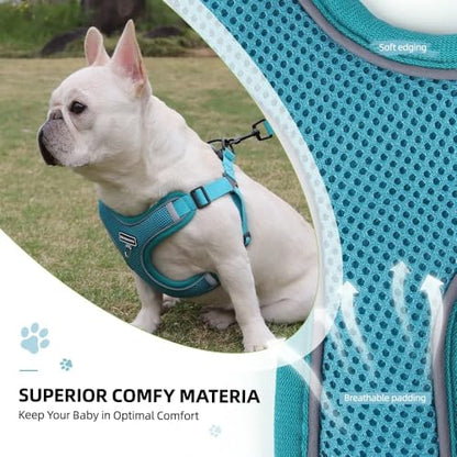Dog Harness and Leash Set, Adjustable Triangle, Reflective Adjustable Puppy Vest, No Pull Soft Mesh Harness for Small, Medium Dogs, Cats (Turquoise, M) - color: Turquoise, size: M