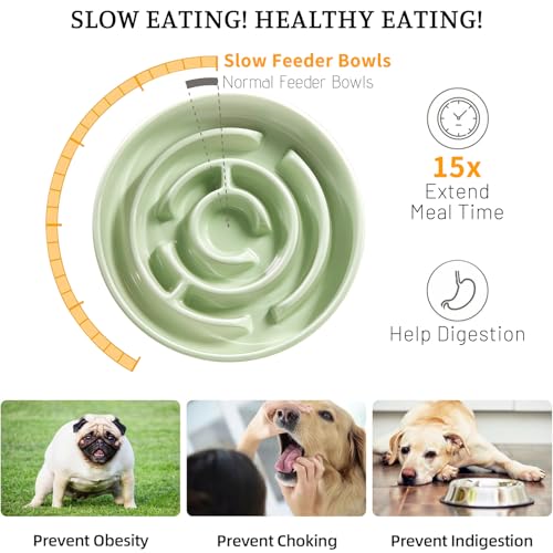 Ceramic Slow Feeder Dog Bowl,1.5 Cups Pet Slow Feeder for Small and Medium Breed,Puzzle Dog Food Dish,Anti-Gulping,Stop Bloat,Preventing Choking(Green) - color: Green
