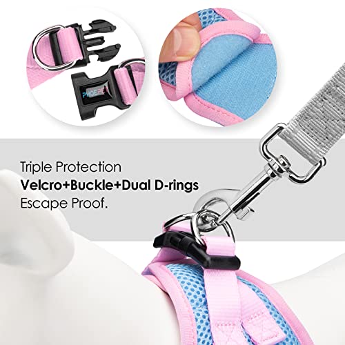 PHOEPET Step-in Dog Harness,Reflective Adjustable Dog Vest Harness, Soft Pet Walking Jacket with 2 Metal Leash Hooks for Dog and Cat(Baby Blue Base & Pink Straps,XS) - color: Baby Blue Base & Pink Straps, size: XS (Neck: 9-10”,Chest: 11.5-13”)