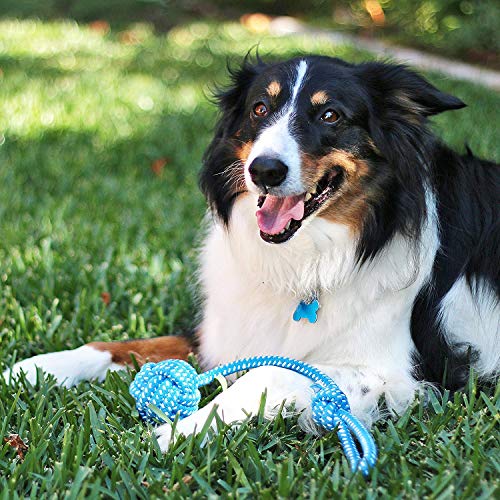 Pacific Pups Products Dog Rope Toys for Medium Dogs 11 Pack (2 Pack) - size: 22 Pack