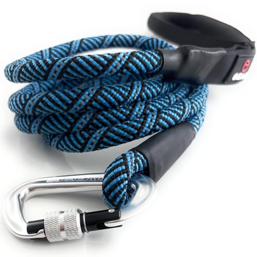 Heavy Duty Dog Leash with 1100LB Rated Locking Carabiner – 6FT Climbing-Inspired Reflective Rope Leash for Large & Medium Dogs that Pull – Padded Handle (Royal Blue) - color: Royal