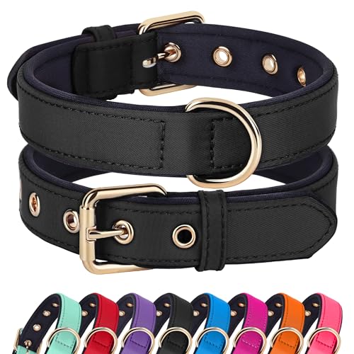 Didog Soft Padded Dog Collar for Large Dogs, Lightweight and Breathable Dog Collar with Metal Buckle, Black, XL - color: Black, size: XL: Fit 17-23" Neck