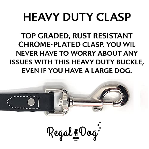 Regal Dog Products Waterproof Leash – 5 ft. Black Dog Leash with Easy to Use Collar Hook, Lightweight, and Proof Training Pet Lead with Vinyl-Coated Webbing for Small, Medium, Large, or XL Dogs - color: Black