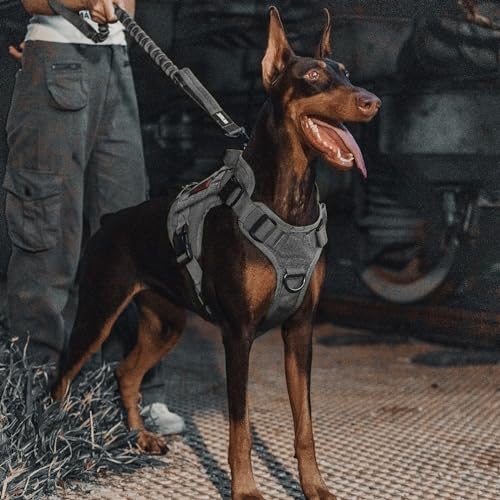 OneTigris Tactical Dog Training Leash Bungee Leash with 2 Control Handle Quick Release Nylon Leads Rope(Grey) - color: Grey