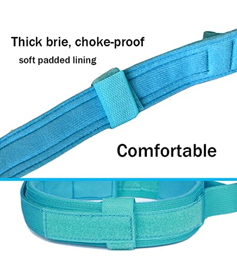 Tactical Dog Collar Adjustable Military Nylon Dog Collar with Control Handle and Heavy Duty Metal Buckle for Medium and Large Dogs (Blue,S) - color: Blue, size: Small (Pack of 1)