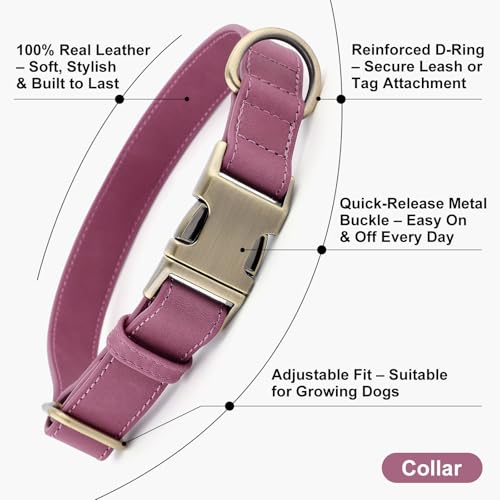 Plutus Pet Genuine Leather Dog Collar – Adjustable Pet Collar with Quick Release Metal Buckle, Soft Real Leather for Small Medium Large Dogs, Heavy Duty & Skin-Friendly (Purple, XS) - color: Purple, size: XS