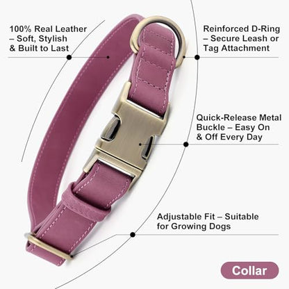 Plutus Pet Genuine Leather Dog Collar – Adjustable Pet Collar with Quick Release Metal Buckle, Soft Real Leather for Small Medium Large Dogs, Heavy Duty & Skin-Friendly (Purple, XS) - color: Purple, size: XS