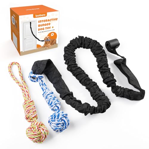LOOBANI Spring Pole Dog Rope Toys - Tug of War Dog Toy for Pitbull Medium to Large Dogs, Indoor Outdoor Use Bungee Hanging Exercise Ropes Muscle Builder Interactive Toys (Door Hanging Style) - color: Blue+Orange