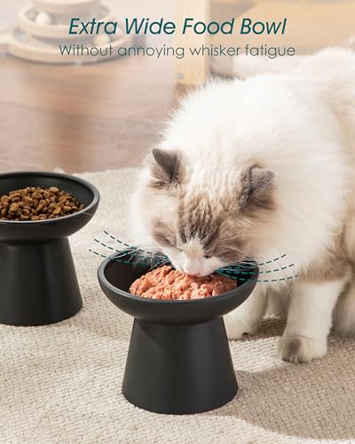 vancasso Elevated Cat Food Bowls 2-Pack, 6.2" Wide Shallow Cat Feeding Bowl for Whisker Fatigue, 5.1" Height Ceramic Raised Food Bowls for Senior Cats, Anti Vomit, Black - color: Black-Food 2-pack