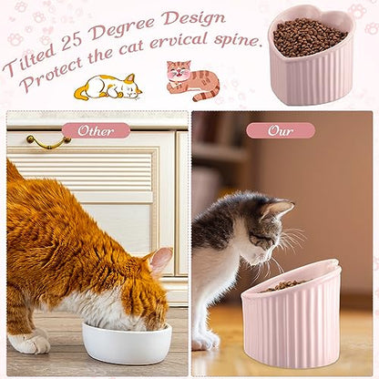Mumufy 2 Pcs Ceramic Elevated Cat Bowls Tilted Elevated Raised Pet Bowls Anti Vomit Cat Dish for Indoor Stress Free Water Dish Feeder for Puppies, Heart Shaped(Pink, Peacock Green) - color: Pink, Peacock Green