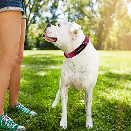 Neoprene Padded Dog Collar, Nylon Collar for Small to Large Dogs, Heavy Duty with Metal Buckle, Reflective(Small, Wine red) - color: Wine red, size: Small(Pack of 1)