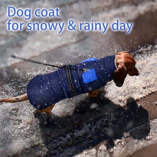 MIGOHI Snowproof Dog Coat - Thick Fleece Dog Jacket with Adjustable Collar, Keep Warm Winter Coat for Medium Dogs Cold Weather Walking Playing,Australian Shepherd,XL,DarkBlue - color: DarkBlue, size: X-Large