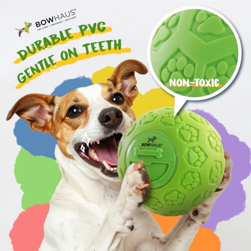 BOWHAUS Giggle Ball for Dogs, 5.5 Inch Interactive Treat Dispensing Ball, Indestructible Fun Squeaky Dog Chew Exercise Toy, Non-Toxic Durable PVC Wobble Giggle Toy for Indoor Outdoor Play - style: Treat Ball - Classic Style