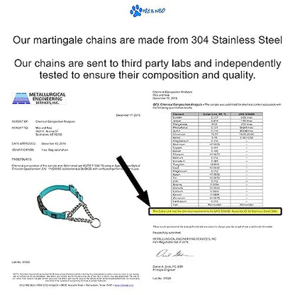 Max and Neo Stainless Steel Chain Martingale Collar - We Donate to a Dog Rescue for Every Collar Sold (Small, Teal) - color: TEAL, size: Small