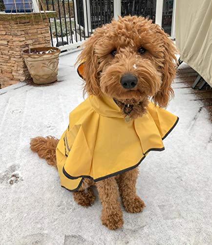 Fashion Pet Rainy Days Slicker Yellow Raincoat, X-Small (560YXS) (Pack of 2) - size: X-Small (Pack of 2)