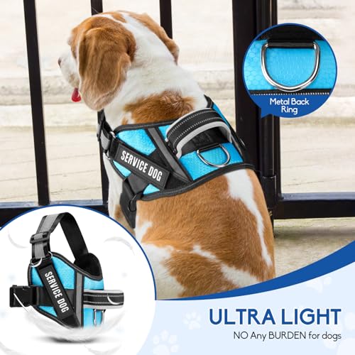 Service Dog Vest Harness and Leash Set, Animire in Training Dog Harness with 10 Dog Patches, Reflective Dog Leash with Soft Padded Handle for Small, Medium, Large, and Extra-Large Dogs (Light Blue,S) - color: Light Blue, size: S