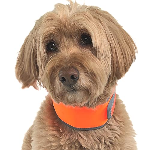 CoolerDog Hi-Vis Cooling Dog Collar for Medium Dogs – Reflective Re-Freezable Ice Collar for Hot Weather & Heat Relief (Orange, Medium) - size: Medium