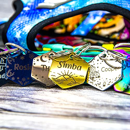 Personalized Dog Tag with 5 Lines of Custom Deep Engraved Durable Stainless Steel Pet ID Name Tag Designer Regular Size Hexagon - size: Regular, style: Hexagon