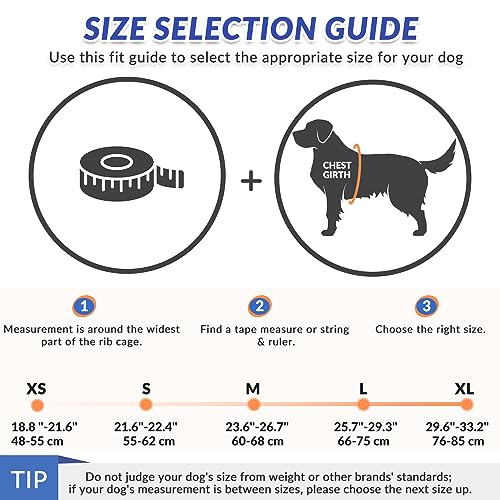 SlowTon Dog Life Jacket, Adjustable Ripstop Dog Life Vest with One Piece Belly Support Superior Buoyancy, Skin-Friendly Neoprene Pet Safety Flotation Vest for Swimming Boating(Orange M)