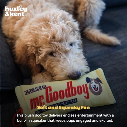 Huxley & Kent Funny Dog Toy w/Squeaker – Power Plush Squeaky Dog Toys for Small, Medium & Large Dogs – Soft Stuffed Animal for Indoor Play & Fetch - Mr Goodboy, Small - size: Small, style: Mr Goodboy