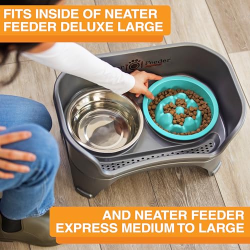 The Niner Slow Feed Bowl - Raised Peaks Slow Down Pets Eating - Fits Elevated Feeders Including Neater Feeder Large Sizes - Gentle on Teeth and Gums - Holds up to 2 Cups (Aquamarine) - color: Aquamarine