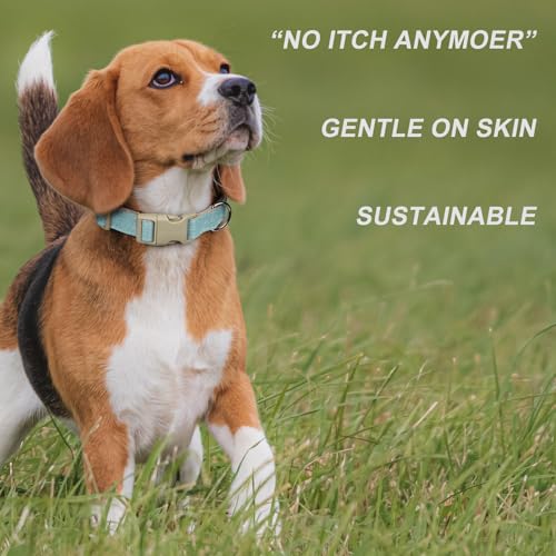 Plutus Pet Cotton Hemp Dog Collar and Leash Set, Adjustable Collar for Small, Medium, and Large Dogs, Heavy Duty and Soft on Skin, Light Blue, XS - color: Light Blue, size: X-Small