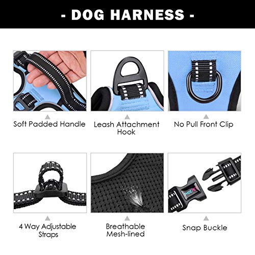 PHOEPET No Pull Dog Harness Reflective Adjustable Vest with a Training Handle, Name ID Pocket, 2 Metal Leash Hooks, 3 Snap Buckles [Easy to Put on & Take Off](S, Baby Blue) - color: Baby Blue, size: Small