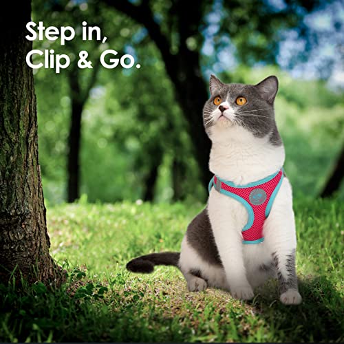 PHOEPET Step-in Dog Harness,Reflective Adjustable Dog Vest Harness, Soft Pet Walking Jacket with 2 Metal Leash Hooks for Dog and Cat(Pink Base & Green Straps,M) - color: Pink Base & Green Straps, size: M (Neck: 11-12”,Chest: 14.5-16”)