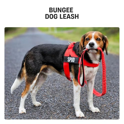 Dog Friendly Co. Bungee Dog Leash | Strain Free & Shock Resistant for Control | Neoprene Padded Handle, Heavy-Duty Carabiner Clip, and D-Ring | Pink Camo, Size Small - color: Pink Camo, size: Small