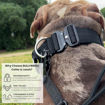 BULLYBREED | Heavy Duty Dog Leash, Tactical Dog Leash, Quick Release Frog Clip with Anti-Tangling Swivel System for Large Dogs that Pull with Soft Double Handles (5 FT Long, Black) - color: Black Double Handle