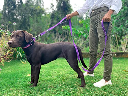 Tuff Pupper Heavy Duty Double Handle Leash | Twist Locking Carabiner Clip | Safety Lock for Strong Dogs | Reflective for Safe Night Walks | 6 Foot Leash | For Medium & Large Dogs - color: Purple