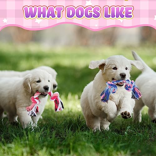 Paterr 12 Pcs Rope Dog Toys Multi Color Puppy Rope Toy Cotton Puppy Toys Dog Chew Puppy Teething Toys for Small and Medium Dogs Puppies