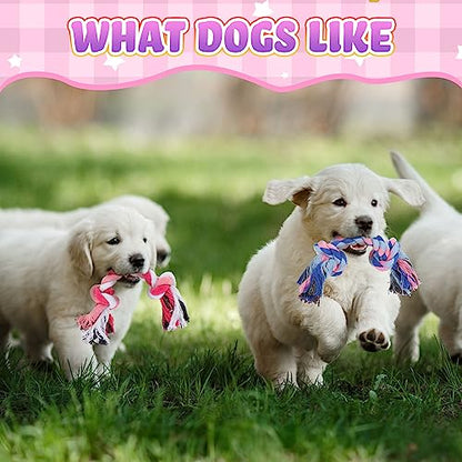 Paterr 12 Pcs Rope Dog Toys Multi Color Puppy Rope Toy Cotton Puppy Toys Dog Chew Puppy Teething Toys for Small and Medium Dogs Puppies