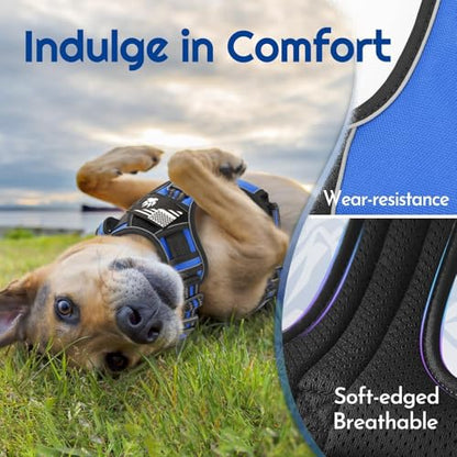 Dog Harness Small Sized, Easy Wearing with 3 Buckles, Adjustable No Pull Pet Harness with 2 Rings for Walking, No Chock Reflective Soft Padded Vest with Control Handle, Blue & Black, S - color: Blue & Black, size: Small
