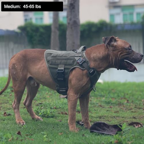 ICEFANG Tactical Dog Harness, Medium Size,2X Metal Buckle,Working Dog MOLLE Vest with Handle,No Pulling Front Leash Clip,Hook and Loop Panel (Green,M (Pack of 1)) - color: Green, size: Medium (Pack of 1)